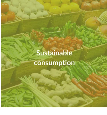 Sustainable consomption
