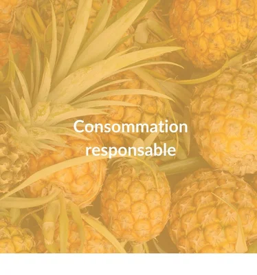 Consommation responsable