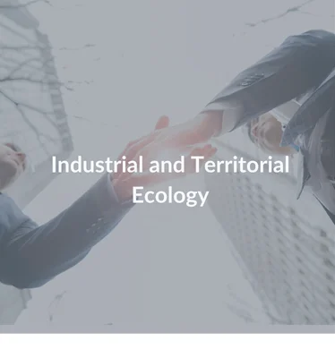Industrial and Territorial Ecology, a form of industrial symbiosis at territorial scale