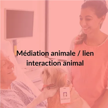 Médiation animale / lien interaction animal