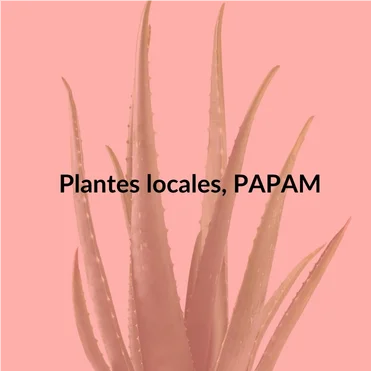 Plantes locales, PAPAM