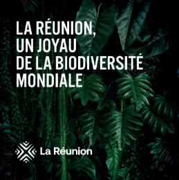 Brochure Cosmétique/Biodiversité