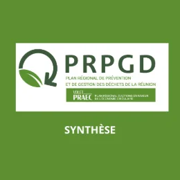 PRAEC_Synthèse_Matinée_30janvier